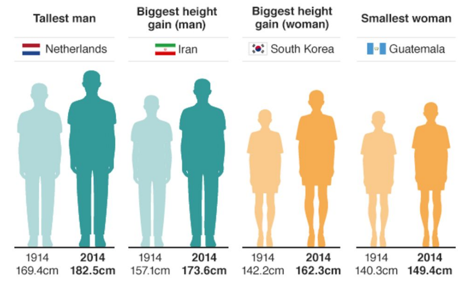 A visualization that shows the average height of different countries in 1914 and 2014. The Netherlands has the tallest average body height for men, Iran the biggest height gain for men, South Korea the biggest height gain for women, and Guatemala the smallest average body height for women.