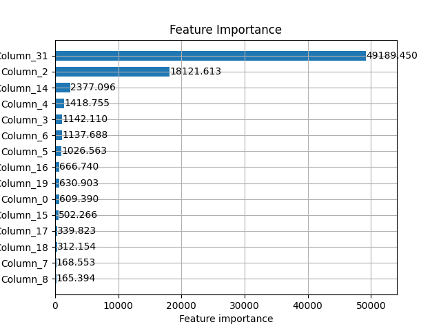 Feature Importance